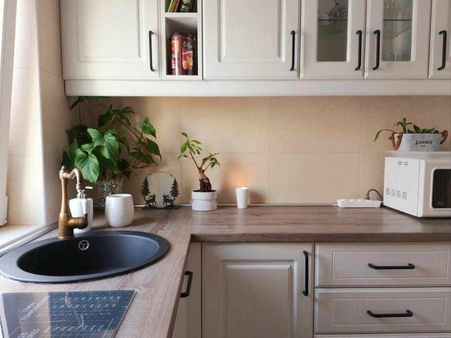 Cosy Boutique 61 Sqm Apartment - Private Parking - Ten Blocks Residence بوخارست المظهر الخارجي الصورة